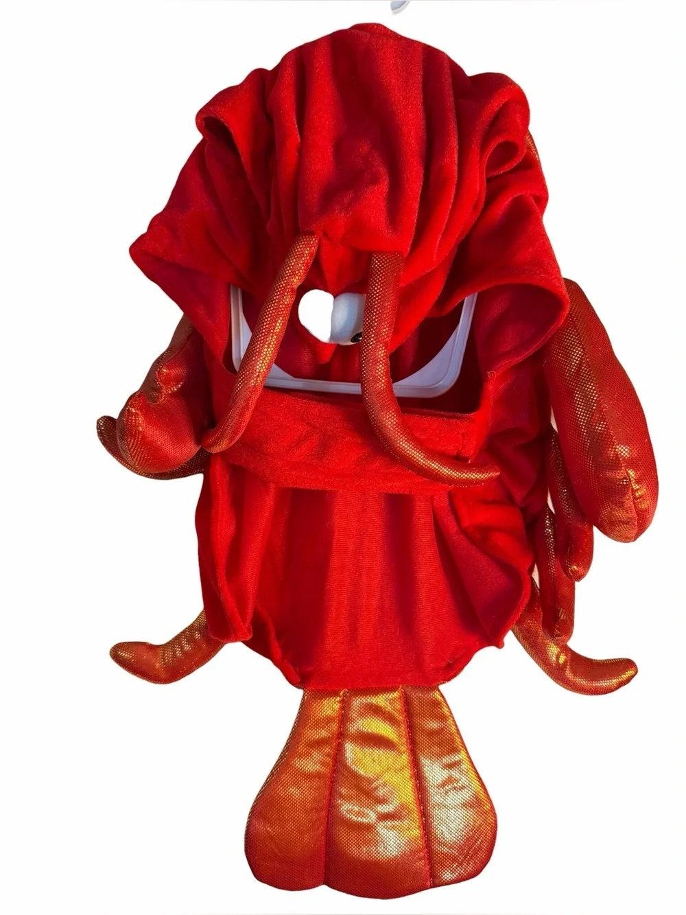 Thrills & Chills Lobster Pet Costume